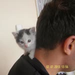 Ender