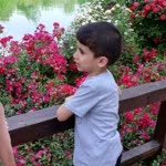 Yusuf