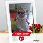 Aysel