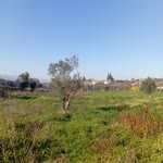 Kübra