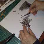 Tc Aysel