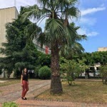 Öznur