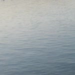 Burcu