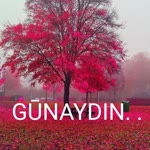 Cuma