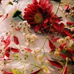 Fatma