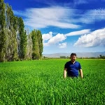 Talip