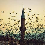 Şeyma