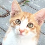 Meryem