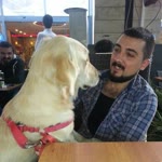 Özgür
