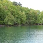 Kadim
