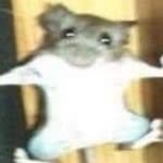 Nesrin