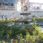 Erhan