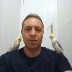 Arif