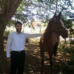Servet