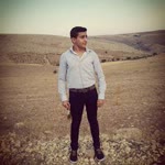 Umut