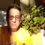 Metin