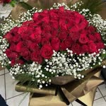 Aynur
