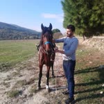 Bilgin