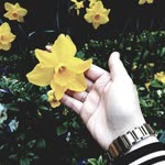 Profil fotoğrafı