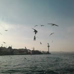 Elif