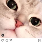 Zeynep