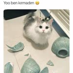 Nurdan