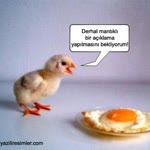 Efe