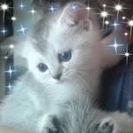 Asya