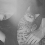 Ceren