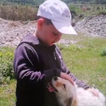 Umut