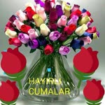 Selda