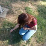 Seher