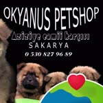 Okyanus