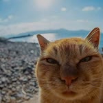 Aydın