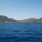 Şükran