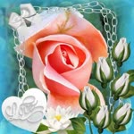 Faruk
