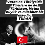 Kerim