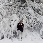Hülya