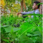 Kabilan