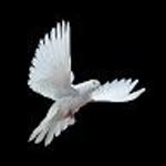 Hidayet