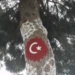 Yüksel