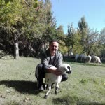 Ahmet