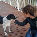 Derya