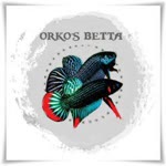 Orkun