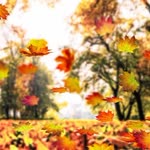Elif