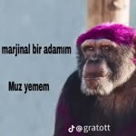 Haydar
