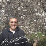 İlyas