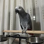Yusuf