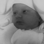 Orhan