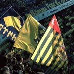 Erdi